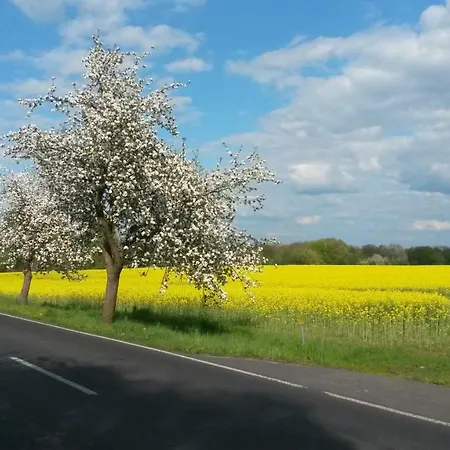 Appartamento Kuehl *